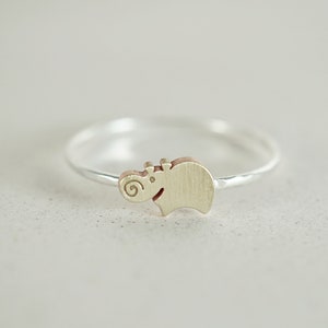 Pode incluir: Um anel de prata com um pequeno amuleto de hipopótamo de prata. O hipopótamo está virado para a esquerda e tem a cauda enroscada.