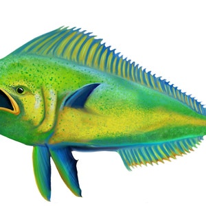 Mahi Art, Mahi Print, Illustration, Digital Artwork, Fish Print, Fish Art, Mahi-Mahi, Dorado Print, Ocean Art, Fish Decor, Deep Sea Fishing