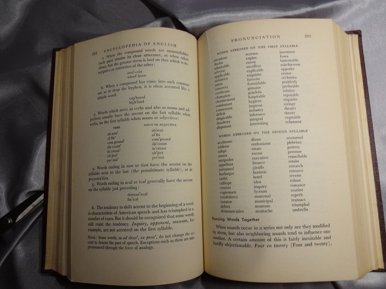 The Encyclopedia of English: Dictionary of grammar usage, spelling, punctuation, roots, prefixes & suffixes, rhetoric, rhymes image 2