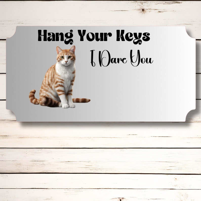 Brown Striped Cat Themed Key Wall Rack Holder Organizer 10