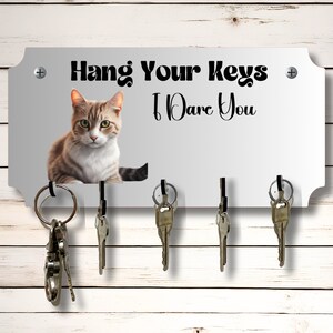 Opbergdoos sleutelhouder kat thema 10 x 5 inch gesublimeerd mdf-houten bord