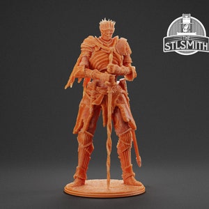 Soul of Cinder FANMADE - Multiple Sizes Available! - 8K Resin Based Miniature - STL Smith