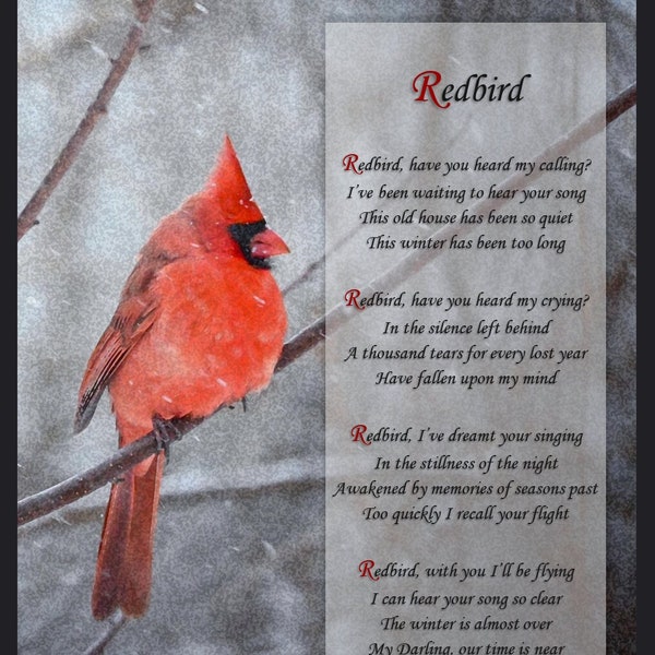 Redbird | Original Poem | Digital Download | Written about aging, grieving, missing a loved one.