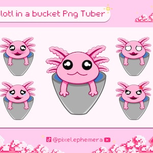 Axolotl PNG-Tuber - pink water predator streaming v-tuber - Twitch Youtube Kick streaming reactive images