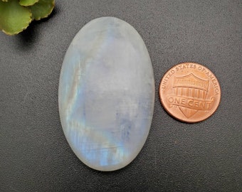 Könnte beinhalten: Ein großer, ovaler, weißer Mondstein-Cabochon mit einem blauen, irisierenden Schimmer. Der Stein ist etwa so groß wie ein deutscher Cent.