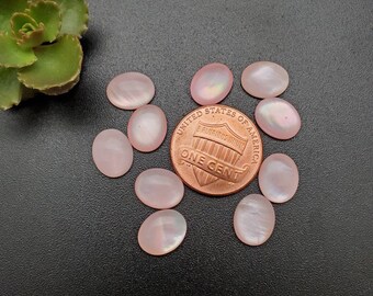 10 pezzi Cabochon ovali calibrati in madreperla rosa 8 x 10 mm / Cabochon in conchiglia rosa / Spedizione gratuita dagli USA / Cabochon in conchiglia rosa / Codice articolo #PMOP06