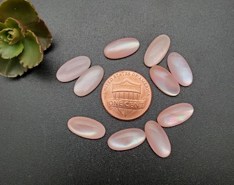 10 pezzi Cabochon ovali calibrati in madreperla rosa 7 x 14 mm / Cabochon in conchiglia rosa / Spedizione gratuita dagli USA / Cabochon in conchiglia rosa Codice articolo #PMOP08