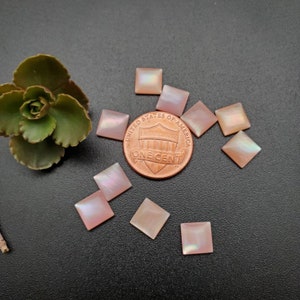 May include: Ten pink iridescent square shell tiles, each about the size of a US penny.  The tiles are arranged on a black surface.