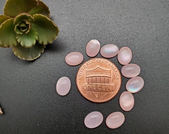 10 pezzi Cabochon ovali calibrati in madreperla rosa 6 x 8 mm / Cabochon in conchiglia rosa / Spedizione gratuita dagli USA / Cabochon in conchiglia rosa / Codice articolo: PMOP04