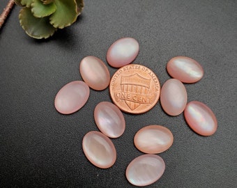 10 pezzi Cabochon ovali calibrati in madreperla rosa 10 x 14 mm / Cabochon in conchiglia rosa / Spedizione gratuita dagli USA / Cabochon in conchiglia rosa Codice articolo #PMOP07