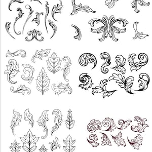 Acanthus Ornaments Vectors