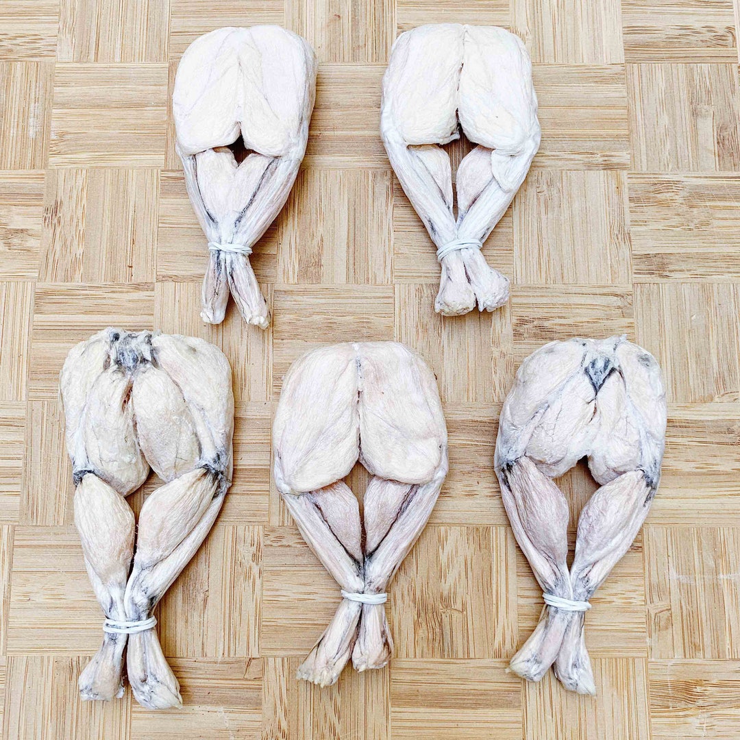 Freeze Dried Frog Leg Treats for Dogs and Cats Etsy