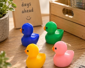 Bag of 50 mini ducks