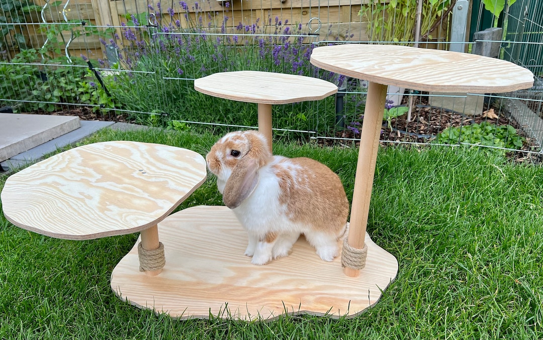 リメイク鉢　常滑焼き　8号 Rabbit Family in Tree Climbing Tree (pine) - Rabbit House, Wooden Toy, Hiding Place