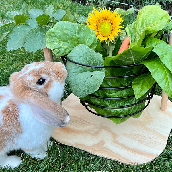 Futterkorb - Kaninchen Haus Spielzeug Versteck Futter Hase Kleintiere Einrichtung Gehege Tiermöbel Handmade Holz