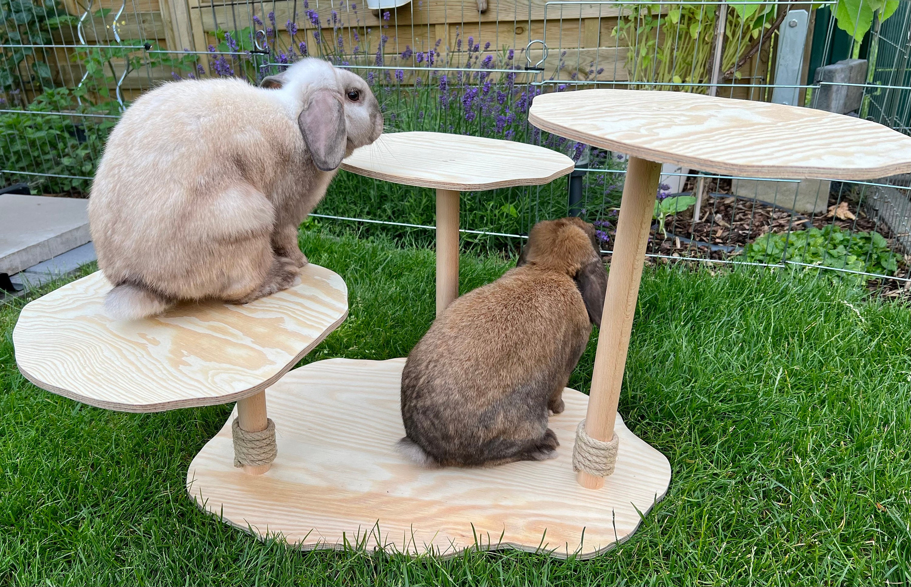 Climbing Tree (pine) - Rabbit House, Wooden Toy, Hiding Place