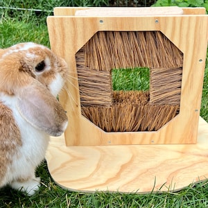 Op de afbeelding: Een bruin en wit konijn snuffelt aan een houten borstel met een borstel van natuurlijke haren. De borstel is bevestigd aan een houten basis met een afgeronde rand.
