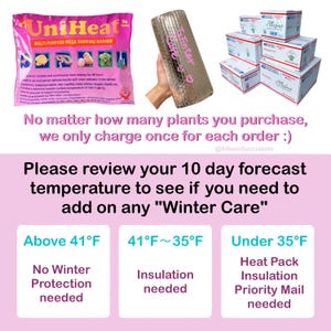 May include: A pink UniHeat multi-purpose mega shipping warmer, a roll of insulation, and several white boxes with the text "Allison Succulents". The text reads "No matter how many plants you purchase, we only charge once for each order :)".