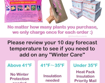 Protección adicional para plantas en invierno: paquete térmico, aislamiento y envío prioritario (solo para pedidos con plantas)