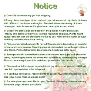 May include: A notice with the word "Notice" in green script at the top. The text provides information about plant care, shipping, and shop policies. The shop's logo is in the upper right corner. The background has a floral design.