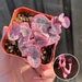 String of Hearts Variegated | VSOH | Ceropegia woodii | String of Hearts | 2inch | 'Pink Green' mix with 'White Green' 2-4 stem in 1 pot 