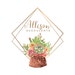 Avatar belonging to AllisonSucculents