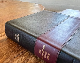 Name Engraved Apologetics KJV Study Bible - Great for Bible believers, Bible Students, and Curious Minds - Christian Gift
