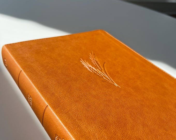 Perfect Gift for Bible Students – Custom KJV Notetaking Bible, Brown LeatherTouch, Premium Paper, Large Readable Font
