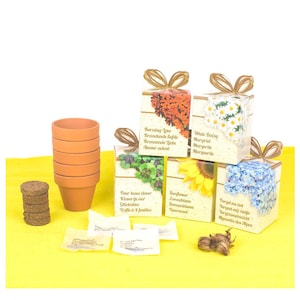 Set di semi di fiori in scatola regalo - 5 piante in un kit di avviamento per vasi da coltivazione Semi di girasoli Fiori di prato Trifoglio - Giardinieri hobbisti e bambini