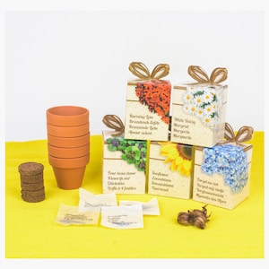 Flower Seed Set in Gift Box - 5 Plants in a Growing Pot Starter Kit Seeds Sunflowers Flower Meadow Clover - Hobby Gardeners and Children