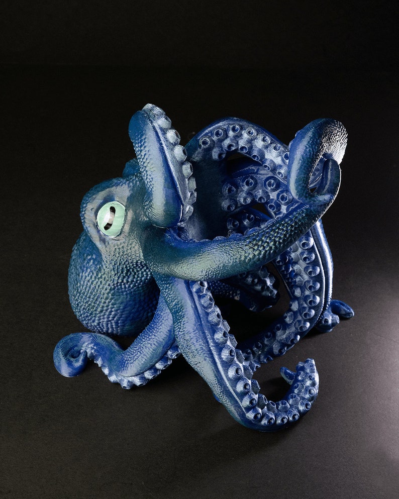 Bordeaux The Octopus image 3