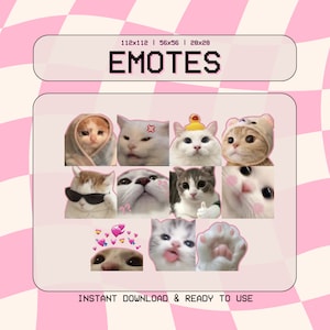11 Cute Cat Meme Emotes | Digital Download | Twitch, Discord, Youtube, Kick | funny, cute, paw