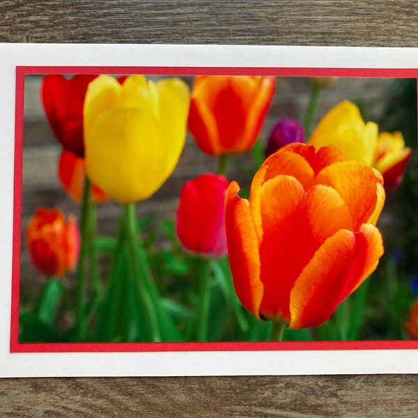 Tulip Greeting Card, Handmade Photo Card, Nature, 5x7 Photo Note Card with Envelope, Blank Inside, Flower Garden, Photography Blank Card