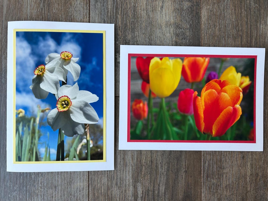 Tulips Note Tulip and Daffodil Photo Note Card Bundle of 2: Handmade 5x7 Blank ...