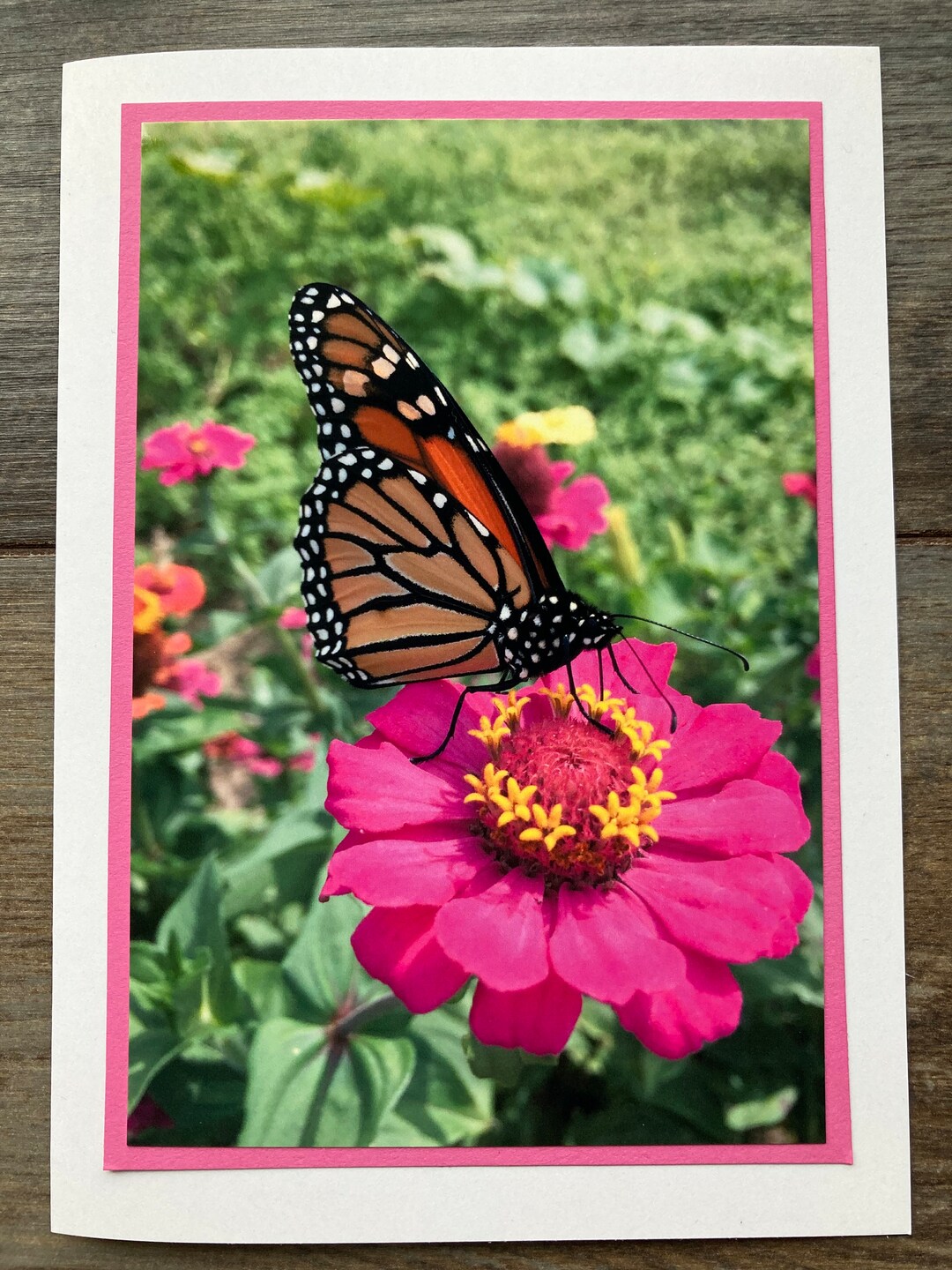 Monarch Butterfly Photo Greeting Card: Handmade Blank Note Card - Etsy