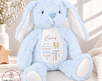 Personalised New Baby Bunny Rabbit Soft Toy Gift - Birth Stats Teddy Bear - Newborn Baby Gift - Baby Keepsake -Soft Toy - Baby Shower Gift