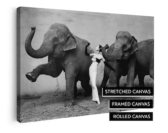 Dovima With the Elephants Print | Cirque D'hiver, August