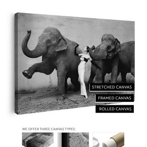 Dovima with the Elephants Canvas Print | Cirque d&#39;hiver August 1955 | Richard Avedon | Stretched Canvas | Framed Canvas | Rolled Canvas
