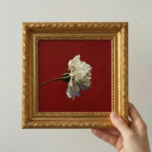Könnte beinhalten: Gerahmtes Gemälde einer weißen Pfingstrose vor rotem Hintergrund. Das Gemälde befindet sich in einem goldenen, verzierten Rahmen. Das Kunstwerk wird von einer Hand gehalten.