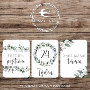30 cartes jalons de bébé, cartes de bébé eucalyptus, grossesse, cartes de bébé, nouveau-né, cadeau baby shower, pour bébé, carte de visite mitigée, petit