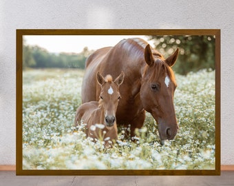 Horse print, wall decor, equine poster, mare and foal, horse in flowers poster, Christmas gift, present