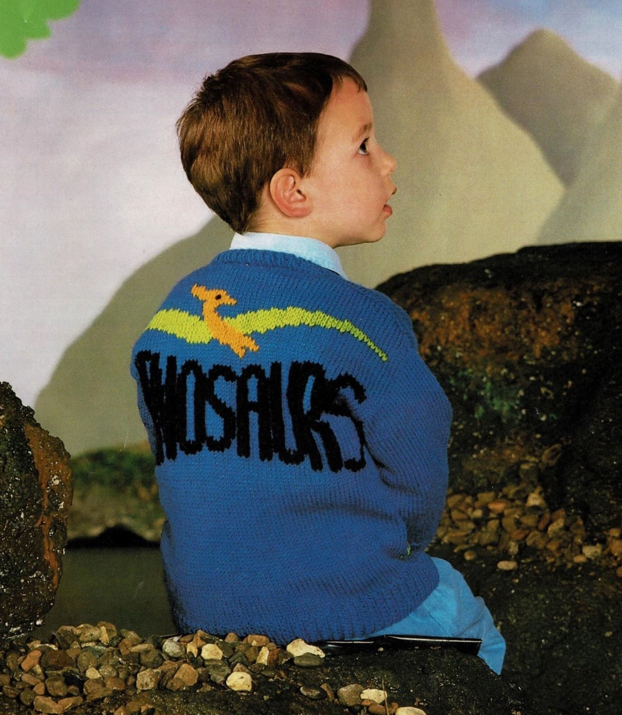 Childs Dinosaur Intarsia Motif Cardigan Jacket PDF Knitting