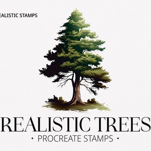 Puede incluir: Un conjunto de 30 sellos de árboles realistas para Procreate. La imagen muestra un solo árbol verde con un tronco marrón sobre un fondo blanco.