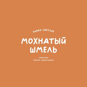 SA Long Beach Handwritten Font: Funky Retro Lettering (OTF, WOFF) image 10