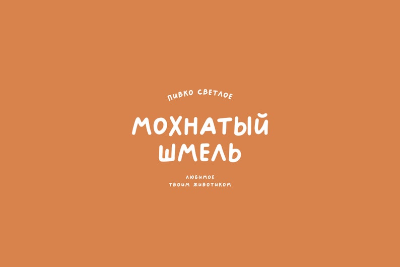 SA Long Beach Handwritten Font: Funky Retro Lettering (OTF, WOFF) image 10