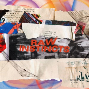 Könnte beinhalten: Eine Collage aus zerrissenem Papier mit einem lebendigen Farbschema aus Rot, Blau und Gelb. Der Text "RAW INSTINCTS" ist in fetten, orangefarbenen Buchstaben geschrieben. Der Text "COLLAGE ELEMENTS" ist in schwarzen Buchstaben geschrieben. Der Text "ARTCOAST STUDIO" ist in schwarzen Buchstaben geschrieben. Der Text "THIS COLLAGE PAYS HOMAGE TO THE CREATIVITY AND STYLE OF THE 90s, AN ERA OF VIBRANT PRINTS AND BOLD CONTRASTS, WHERE EACH DAY WAS AN ADVENTURE" ist in schwarzen Buchstaben geschrieben.
