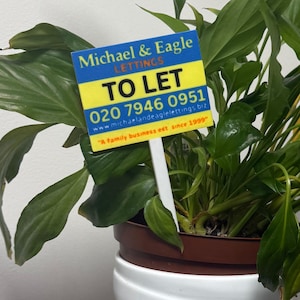 May include: A houseplant with lush green leaves. A sign reading "TO LET" is inserted into the pot. The sign displays the name "Michael & Eagle LETTINGS" and a phone number.