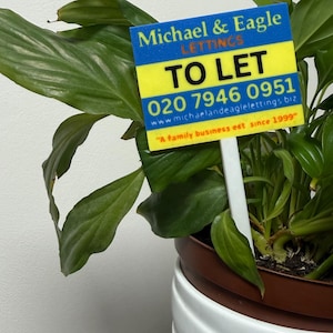 May include: A potted plant with large green leaves. A sign that reads "TO LET" is placed in the pot. The sign has the name "Michael & Eagle Lettings" and a phone number.