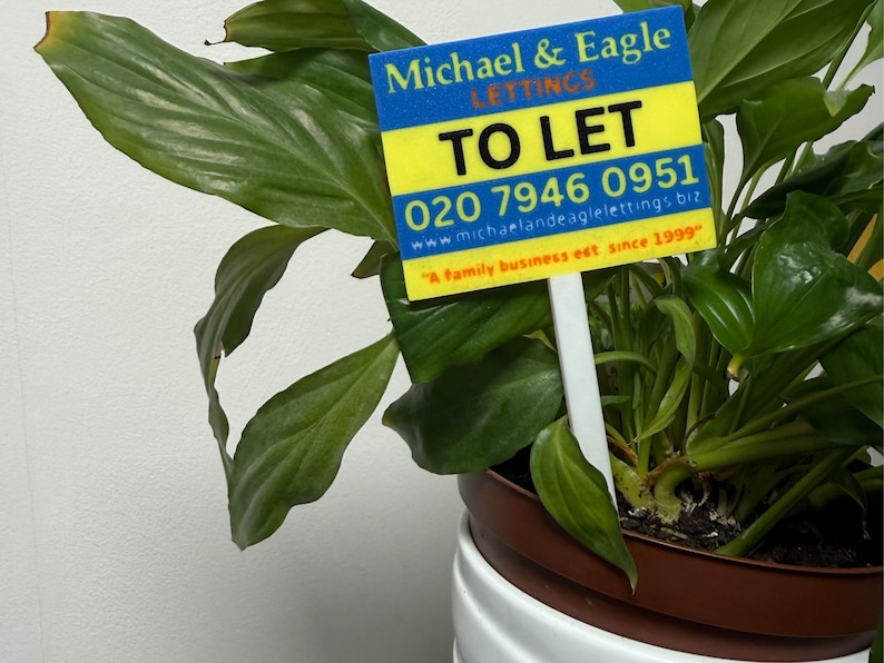 May include: A potted plant with large green leaves. A sign that reads "TO LET" is placed in the pot. The sign has the name "Michael & Eagle Lettings" and a phone number.