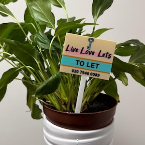 May include: A potted plant with large green leaves. A small sign in the pot reads "Live Love Lets TO LET" with a key graphic. The sign has a teal and white stripe. The pot is brown and white.